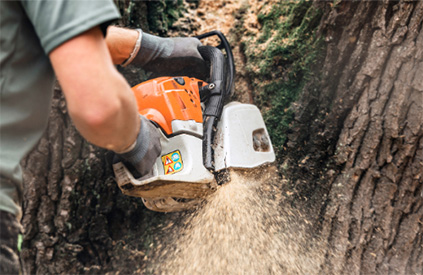 tree cutting