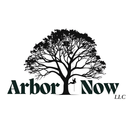 arbornow_nowbackground_logo